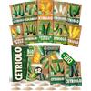 ZenGreens® - Set di Semi di Cetriolo bio (12 pezzi) - 12 Semi di Cetriolo per Coltivazione Facile in Giardino, Balcone o Serra - Semi da Piantare - Sementi