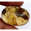 Glitzy Gems 14.30 CT Naturale Giallo Ambra Inclusione Di Albero Radice Certificato Loose