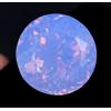 Glitzy Gems Naturale Viola-Rosa Welo Opale 32.95 KT Rotondo Certificato Non Scaldato Loose