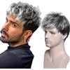 SJZDYLXY Parrucca corta da uomo bella parrucca da uomo per costume quotidiano parrucca sintetica completa nera mix grigio parrucca di ricambio per capelli