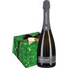 CallMeWine Panettone al Pistacchio Cioccolato Gourmet e Prosecco 'Radiz' Bortolomiol 0,75 l