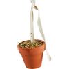 JR FARM Birds - Vasino di terracotta a forma di pappagallino e canarino, 80 g