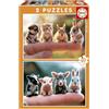 Educa - Puzzle Cuccioli di Animali | 2x20 pezzi Puzzle Set | Animali, Puzzle Bambini | dai 4 anni (20221)