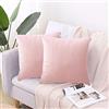 CXTAI Confezione da 2 Federe Cuscini Divano 50 x 50 Decorativi Cuscini per Divano Copricuscini in Velluto - Rosa