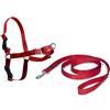 PetSafe Easy Walk, Pettorina per Cani, Pettorina Anti-tiro per Cani, per l'Addestramento con Guinzaglio e Pettorina, Impedisce al Cane di Tirare e Strozzarsi, Rosso, L, Grande