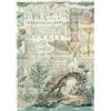 Carta di riso Herbarium Silvae ponte Stamperia