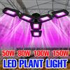 150W LED Coltiva La Lampadina Spettro Completo Lampada di Coltivazione Cactus Interno Serra Tenda Verdura Idroponica Pianta Riempimento di Illuminazione