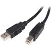 StarTech.com Cavo USB 2.0 per stampante tipo A/B ad elevata velocita' M/M, Cavo USB 2.0 Maschio A / Maschio B da 2 m