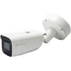 LevelOne FCS-5095 telecamera di sorveglianza Capocorda Telecamera di sicurezza I