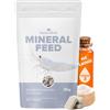 NatureHolic - Shrimp Food Mineralfeed I Mangime Minerale per gamberetti, gamberi e granchi Prodotto in Germania