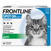 Frontline Spot-on Gatti Trattamento Antiparassitario Pulci E Zecche 3 Pipette
