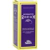 Alta Natura Depurativo Rheum Sciroppo Per Depurazione Fegato 250ml