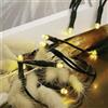 Hellum - Mini catena luminosa a LED per interni, lunghezza 5,1 m, 35 LED per interni, classica catena luminosa bianca calda con spina, albero di Natale, cavo di corrente verde, spina 579338