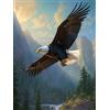 Bimkole 5D Diamond Painting Kit Completo Fai da Te Aquila Volante, Animale Pittura Diamante Punto Croce Strass Arte E Creazione Di Mosaico Decorazione Murale Artigianale 30X40 cm