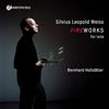 AMPED Weiss: Fireworks for Lute