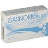 Laerbium Pharma Srl Gasnorm Plus 36capsule