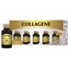 DR.GIORGINI SER-VIS SRL Collagene liquido analcolico 10 flaconcini x 50 ml