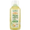 EQUILIBRA SRL Buon aloe vera 95% con succo di pesca concentrato 500 ml