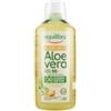 EQUILIBRA SRL Buon aloe vera 95% con succo di pesca concentrato 1 litro