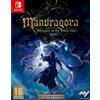 KNIGHTS PEAK INTERACTIVE Mandragora Whispers of the Witch Tree (Collector's Edition)