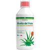 AZIENDA AGR. BIO IL PUCINO Vonderweid Ricetta del Frate Aloe Arborescens Gel Senza Alcool 500ml