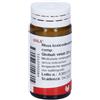 WALA ITALIA Wala Rhus Tox Compositum Globuli 20g