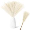 TILONKJ 30 pezzi Pampas Decorative, 55cm Pampas Colore champagne Decorative Alte, Piume Decorative per Vaso, Piume Decorative Lunghe, Per Matrimonio, Soggiorno, Arredamento Boho, Casa
