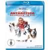 Walt Disney / LEONINE Antarctica - Gefangen im Eis