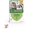 ELANCO ITALIA SPA ADVANTAGE*4PIP 0,4ML SPOTON