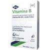 IBSA FARMACEUTICI ITALIA S.R.L. IBSA Vitamina B Integratore Alimentare 30 Film Orodispersibili