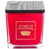 Acqua di Bolgheri Candela Profumata Bacche di Vinum 200g