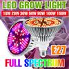 NONE 150W E27/E14 LED Coltiva La Luce Spettro Completo Lampada per Piante UV/IR Idroponica per Interni Fiore Piante grasse Coltivazione di Verdure illuminazione