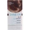 I.C.I.M. (BIONIKE) INTERNATION BIONIKE SHINE ON Trattamento colorante capelli CASTANO DORATO 4.3