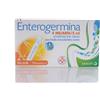 OPELLA HEALTHCARE ITALY Srl Enterogermina*os 10 flaconcini 4mld 5ml