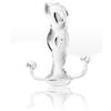 Aneros Progasm Ice Intermediate Prostate Massager Clear