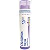 BOIRON SRL CHELIDONIUM MAJUS 30CH 80GR 4G