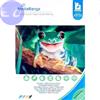MEDIARANGE CARTA A4 160gr 50fogli MEDIARANGE FOTOGRAFICA dual-side high-glossy coated - MRINK108