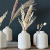 Carrot's Den - Set di 6 piccoli vasi in ceramica bianca per la decorazione della casa | vasi Boho per fiori secchi + piante da appartamento | matrimonio, casa, centrotavola, moderno, minimalista