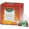 Neavita Infuso Fuoco del caminetto 15 filtroscrigno
