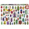 Educa - Puzzle da 500 pezzi per adulti | Coleotteri | Include colla Fix Puzzle. Dimensioni: 48 x 34 cm. Da 11 anni (20252)