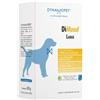 Dynamopet Dimood Large 20 Bustine Da 10 G