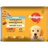 Pedigree junior manzo e riso/pollo e riso in gelatina 4x100g