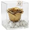 Premium-rose.com PREMIUM ROSE - Cubo Rosa Stabilizzata 8 cm con Base Microbolle - Rosa Eterna Stabilizzata Made in Italy - Idea per Occasioni Esclusive e Bomboniere di Lusso - Oro A 1801