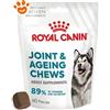 Royal Canin Dog Supplement Joint & Ageing Adult Snack per Cani - Bustina Da 240 Gr