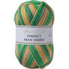 Utopia Crafts Aran Ombre - Filato multicolore per maglieria e uncinetto, 300 g - 600 m (013)