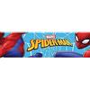 AG Design WBD 8106 Wall Border-Autoadesivo, Colorful, 500 x 14 cm