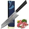 Plys Coltello da Cucina Damasco: Coltello da Chef Kiritsuke da 20 Cm, Forgiatura In Acciaio Damasco a 67 Strati, Anima in Acciaio Vg10 Affilato e Manico Ottagonale G10, Con Squisita Confezione Regalo