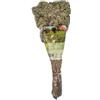 Sicilia Bedda - Origano Siciliano gr. 50 - Altissima Qualità - Prodotto e Confezionato in Sicilia - Un profumo inconfondibile (Mazzetto)