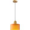 HJXDtech Mini Lampada a Sospensione in Vetro con Finiture Oro & Cavo Regolabile 200cm, Moderno Lampadario Sospeso da Soffitto E27 per Cucina, Sala da Pranzo, Camera da Letto (Arancione Matt, 20cm)