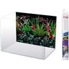 Amtra Sfondo Doppio Flora - Sfondo Poster per Acquario, Decorazione a Doppia Stampa HD, Double Face, Impermeabile, Formato 30x60 cm